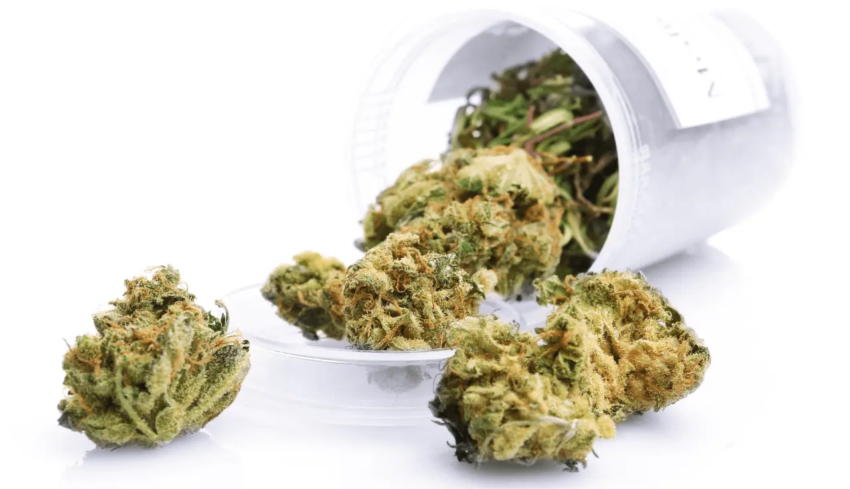 THC Blüten online kaufen: Was Sie wissen müssen